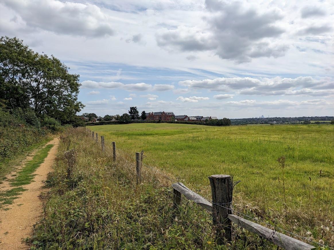 Image of accessible greenfield land targeted for development