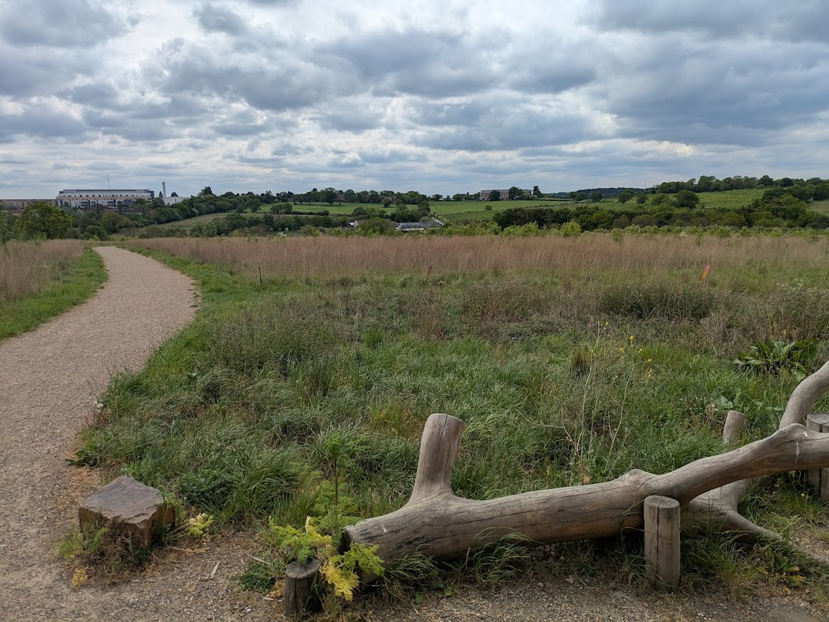 View across open fields and a footpath at Crews Hill and Chase Park, with trees, distant buildings and a cloudy sky